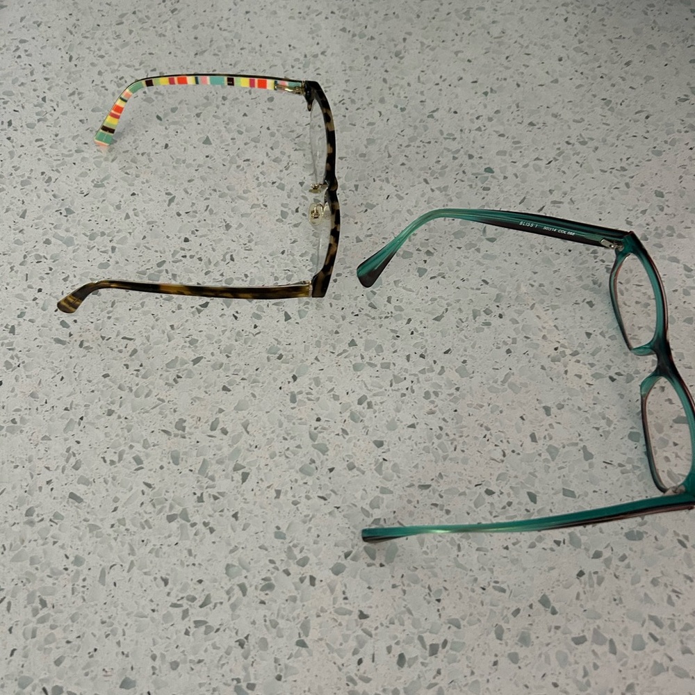 Tortoise and Teal Eyeglasses